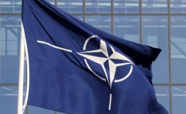 Foto - Yemen'den NATO'ya davet