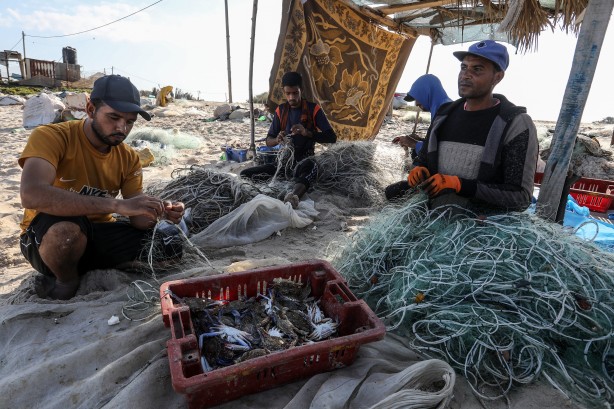 Foto - Yengeç, Gazzeli balıkçıların yüzünü güldürdü
