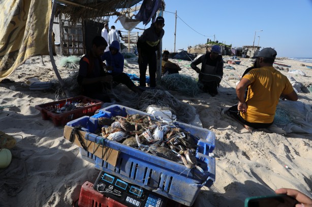 Foto - Yengeç, Gazzeli balıkçıların yüzünü güldürdü
