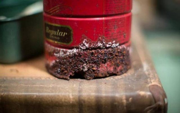 Foto - Yeni aldıkları evin bahçesinde öyle bir şeyle karşılaştılar ki!