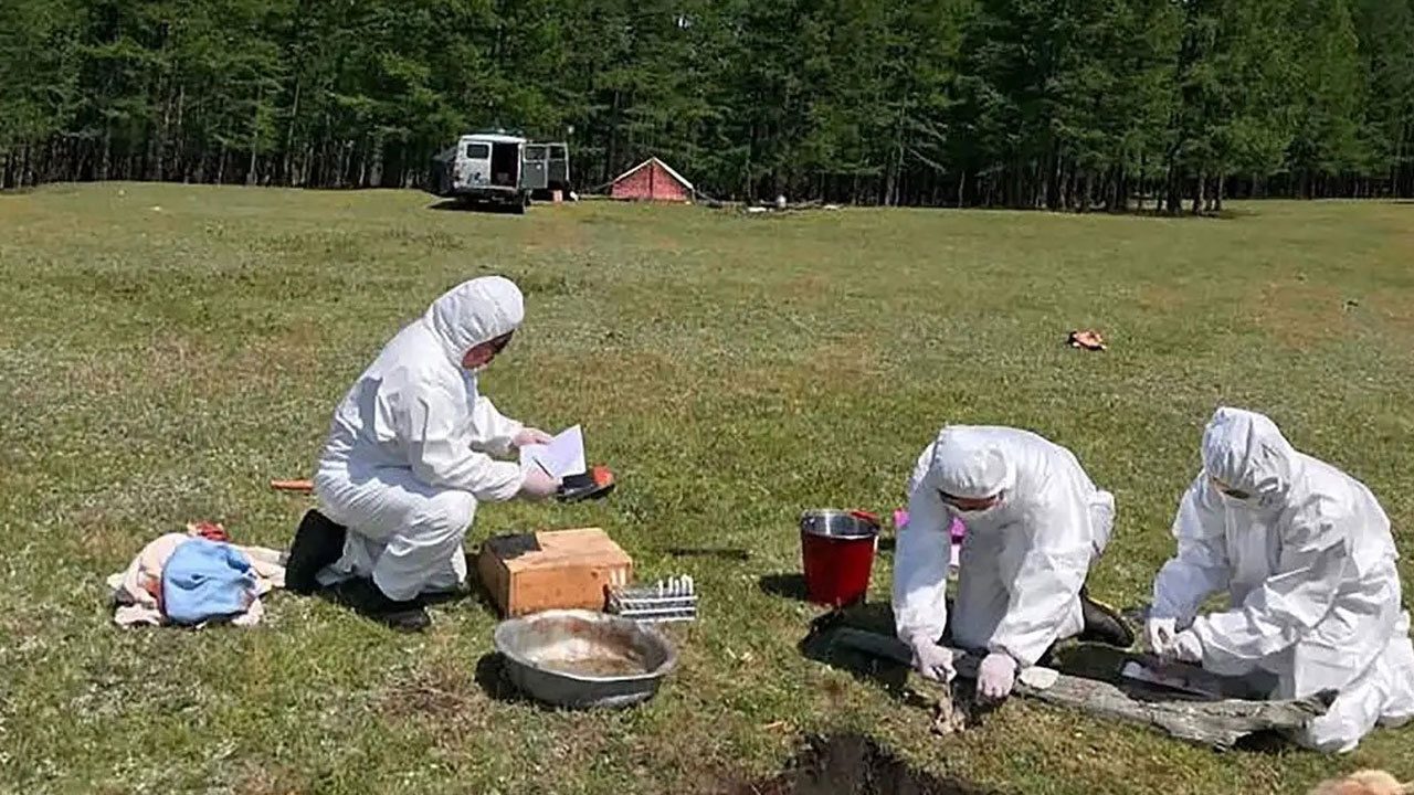 Foto - Yeni bir salgın mı geliyor? Sibirya’daki ölüm dünyayı tedirgin etti!