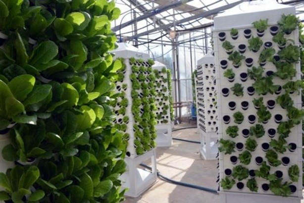 Foto - Yeni bir sistem geliştirdi! 13 kat üretim vaat ediyor