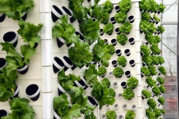 Foto - Yeni bir sistem geliştirdi! 13 kat üretim vaat ediyor