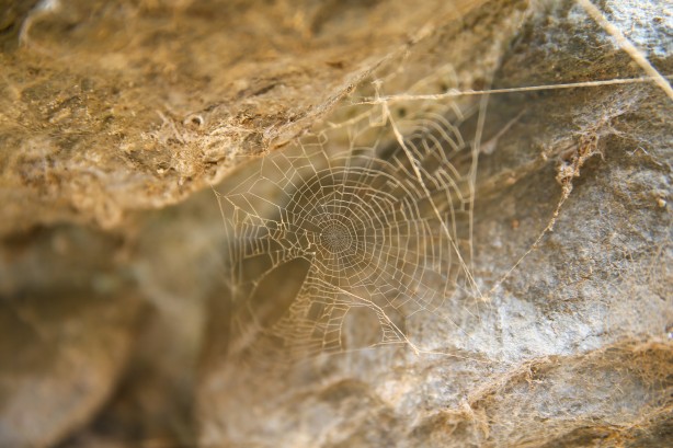 Foto - Yeni bir stratejik kent gün yüzüne çıkıyor! Bakanlık harekete geçti