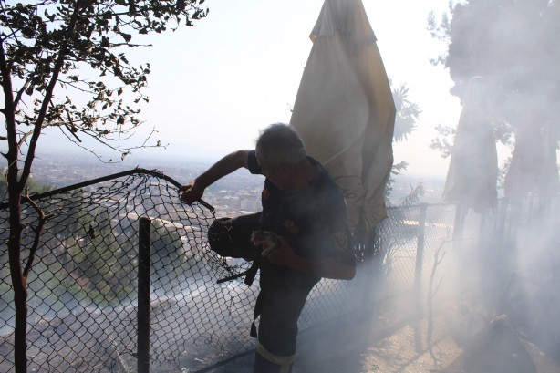 Foto - Yeni doğan yavru kediler yanmaktan son anda kurtarıldı