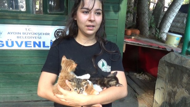Foto - Yeni doğan yavru kediler yanmaktan son anda kurtarıldı