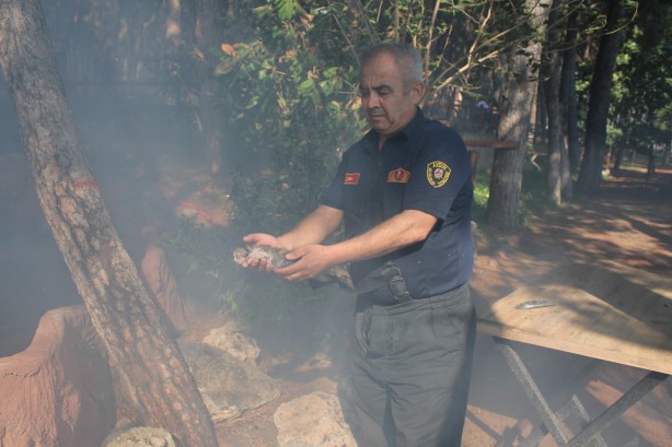 Foto - Yeni doğan yavru kediler yanmaktan son anda kurtarıldı