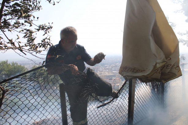 Yeni doğan yavru kediler yanmaktan son anda kurtarıldı