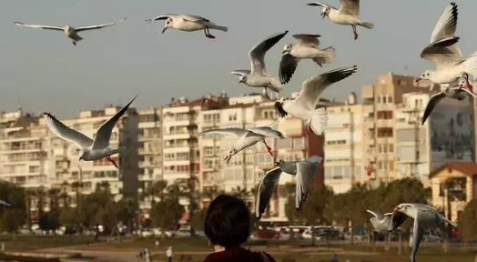 Foto - Yeni dönem! Ev alımında büyük avantaj sağlayacak: Şok eden açıklamalar...