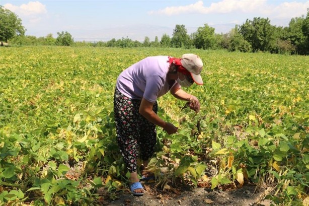 Foto - Yeni felaket kapıda! Tüm dünyada kırmızı alarm... Türkiye de harekete geçti