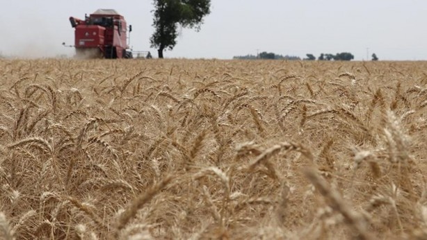 Foto - Yeni felaket kapıda! Tüm dünyada kırmızı alarm... Türkiye de harekete geçti