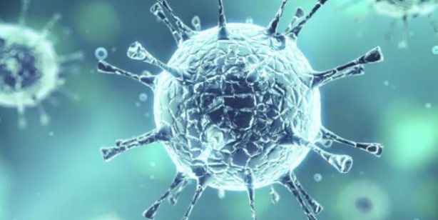 Foto - Yeni kabus: Alaskapox virüsü! Yetkililer ilk ölümün gerçekleştiğini duyurdu!