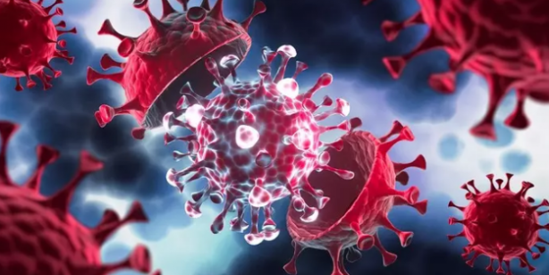 Foto - Yeni kabus: Alaskapox virüsü! Yetkililer ilk ölümün gerçekleştiğini duyurdu!