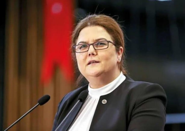Foto - Yeni Meclis’in yeni yüzleri! İşte bakanların Meclis’e girdiği iller