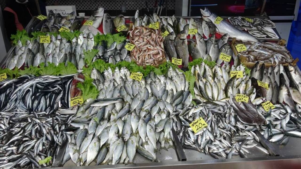 Yeni sezonda balık bolluğu!