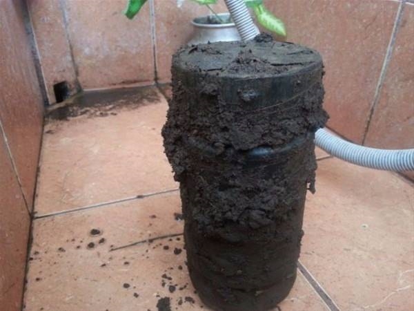 Foto - Yeni taşındığı evin bahçesinden bakın ne çıktı!