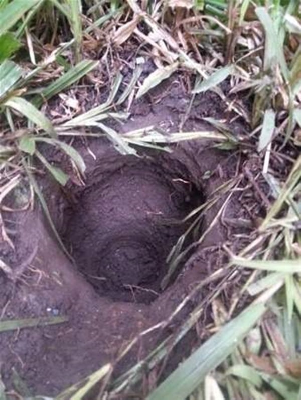  Yeni taşındığı evin bahçesinden bakın ne çıktı!