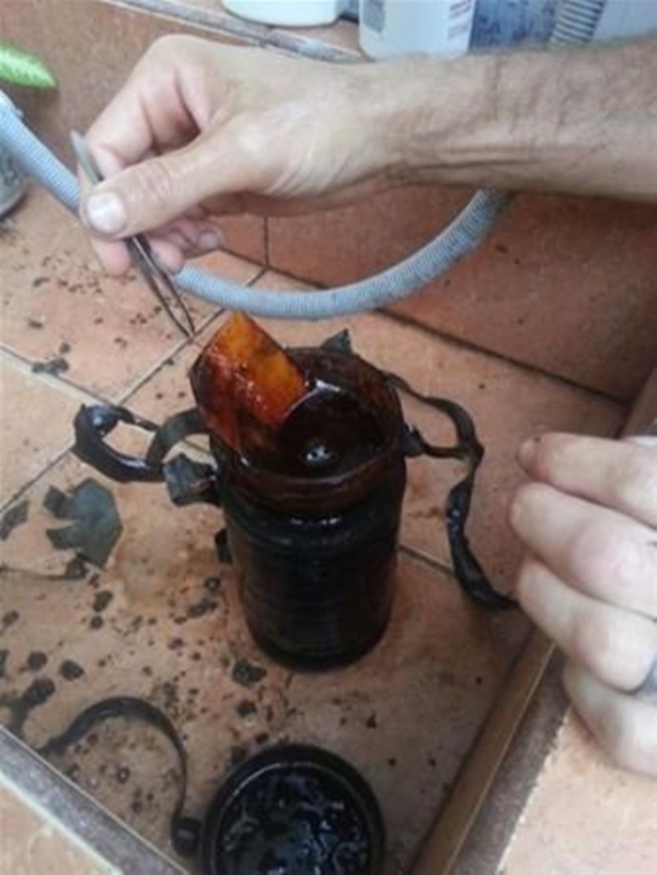 Foto - Yeni taşındığı evin bahçesinden bakın ne çıktı!