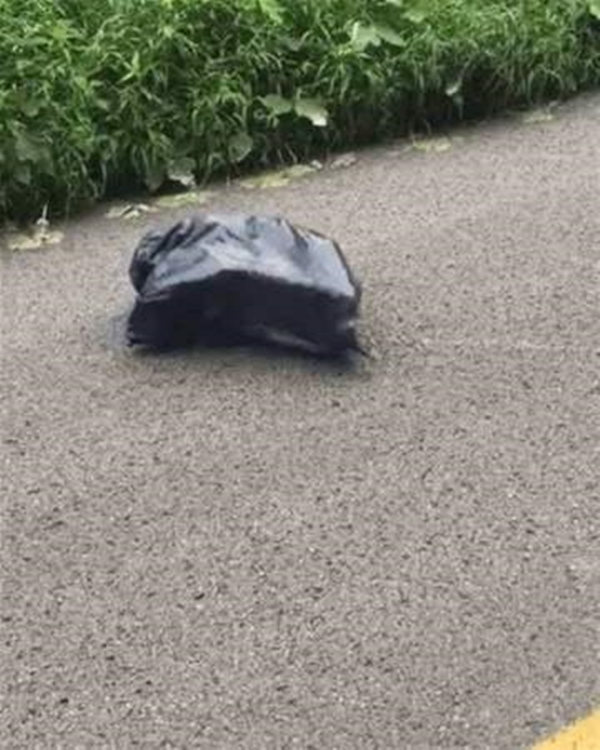 Foto - Yeni taşındığı evin bahçesinden bakın ne çıktı!