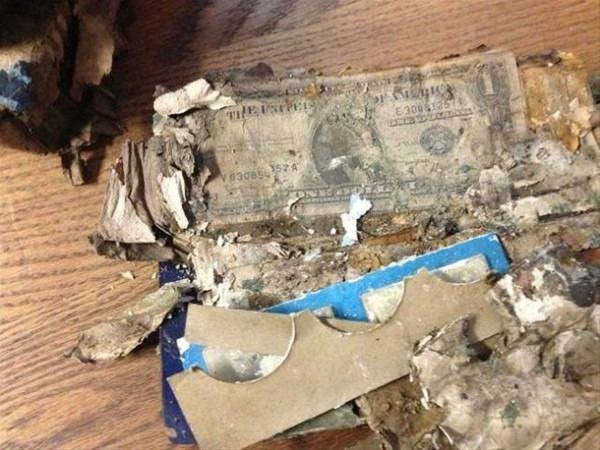 Foto - Yeni taşındığı evin bahçesinden bakın ne çıktı!