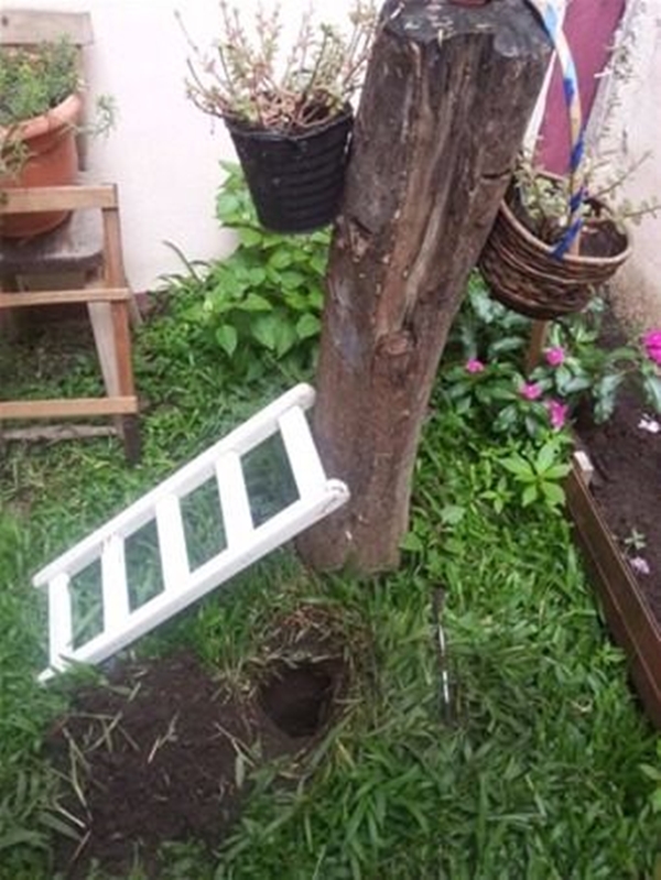 Foto - Yeni taşındığı evin bahçesinden bakın ne çıktı!