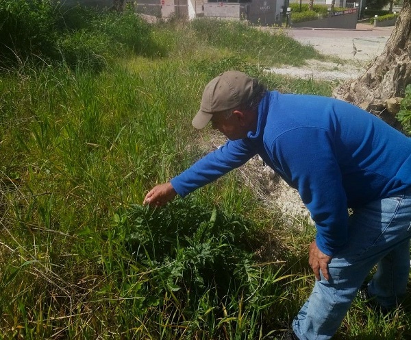 Foto - Yeni Tülüşah alanı keşfedildi