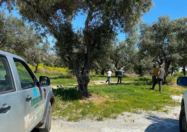 Foto - Yeni Tülüşah alanı keşfedildi