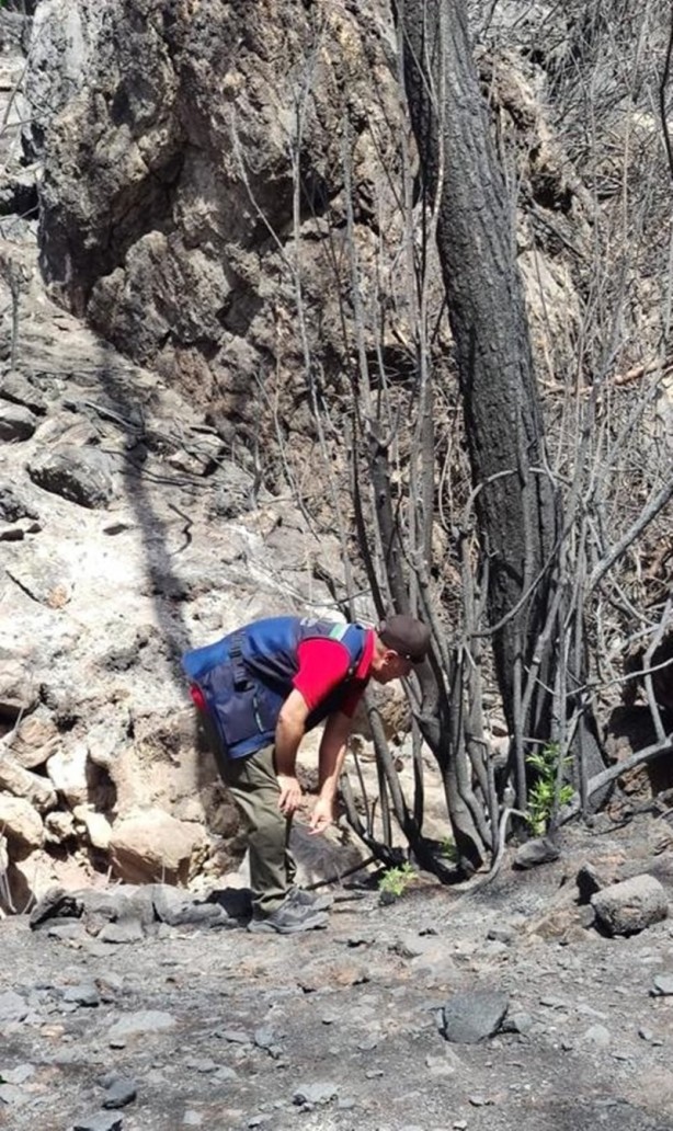 Foto - Yeniden dirilişin karesi