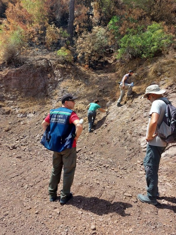 Foto - Yeniden dirilişin karesi