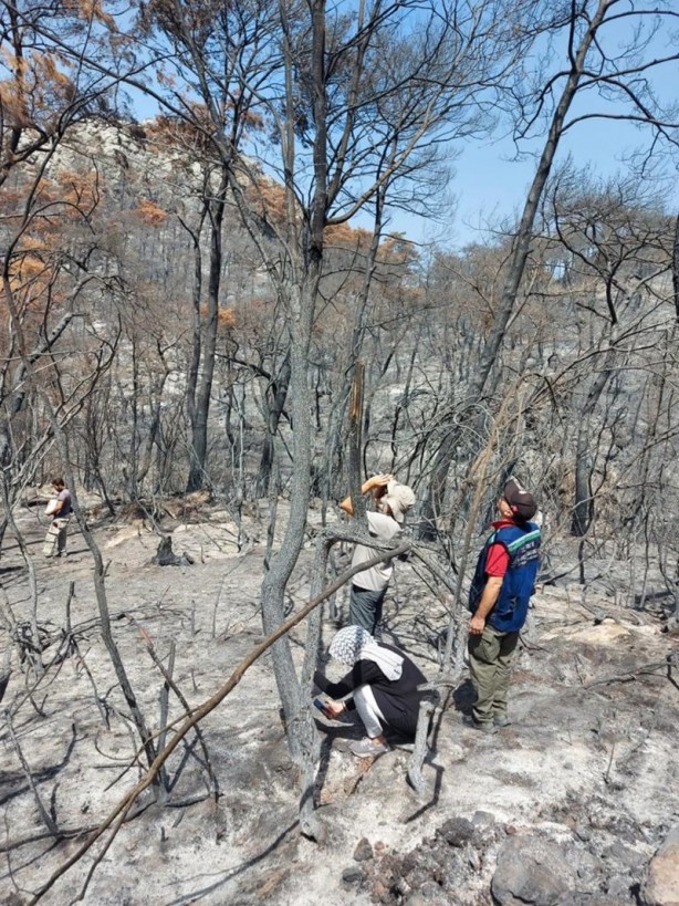 Foto - Yeniden dirilişin karesi