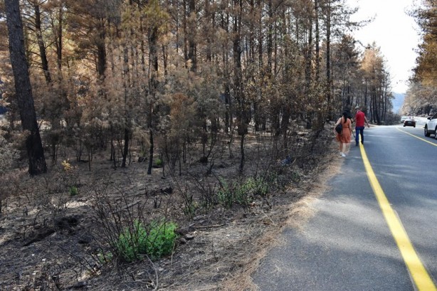 Foto - Yeniden dirilişin karesi