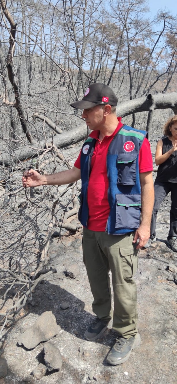 Foto - Yeniden dirilişin karesi