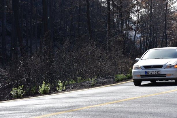 Foto - Yeniden dirilişin karesi