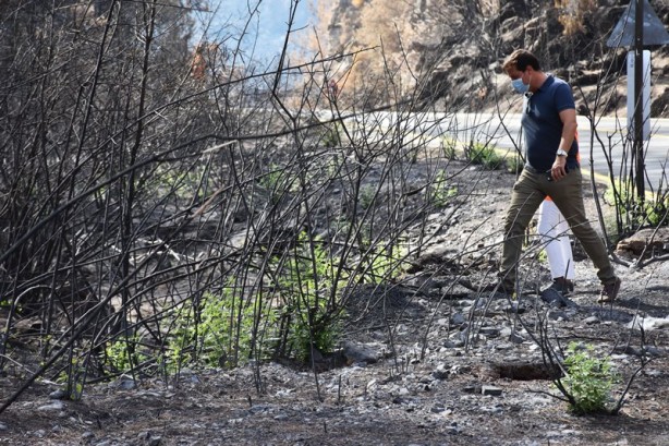 Foto - Yeniden dirilişin karesi