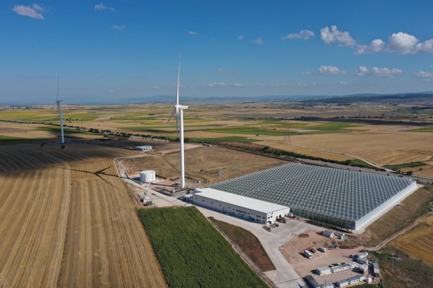 Yenilenebilir enerjiyle cam serada domates üretiyorlar! İşte hedef