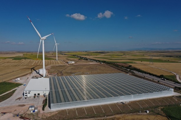 Foto - Yenilenebilir enerjiyle cam serada domates üretiyorlar! İşte hedef