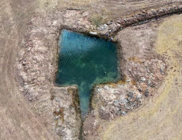 Foto - Yenisi ortaya çıktı! Uyuz hastalığında sevindiren gelişme