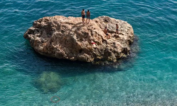 Foto - Yer Antalya! Yüzerken fark ettiler! Panikle sudan çıkmaya çalıştılar 