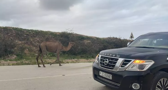 Foto - Yer çekimi olmayan yol! Turistler akın ediyor