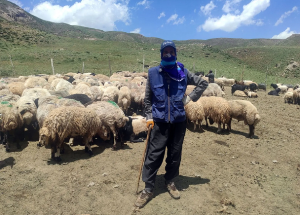 Foto - Yer: Hakkari! 20 bin liraya çalışacak birini bulamayınca yurtdışından eleman getirdiler