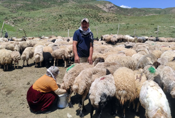 Foto - Yer: Hakkari! 20 bin liraya çalışacak birini bulamayınca yurtdışından eleman getirdiler