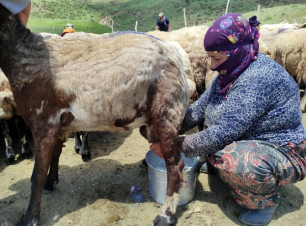 Foto - Yer: Hakkari! 20 bin liraya çalışacak birini bulamayınca yurtdışından eleman getirdiler