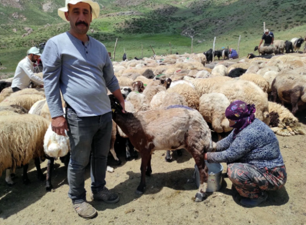Foto - Yer: Hakkari! 20 bin liraya çalışacak birini bulamayınca yurtdışından eleman getirdiler
