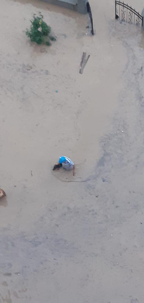 Foto - Yer: Kastamonu... Selde canını düşünmeden hayvanları kurtardı