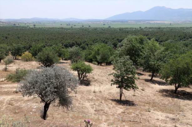 Foto - Yer: Manisa... Çöle benzediği için dizi çekiliyordu, son hali görenleri şaşırttı!