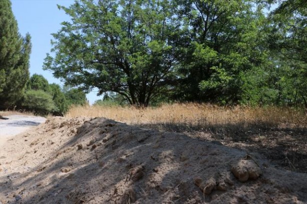 Foto - Yer: Manisa... Çöle benzediği için dizi çekiliyordu, son hali görenleri şaşırttı!
