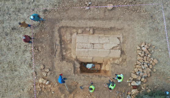 Foto - Yer: Muğla'nın Milas ilçesi! Tarla süren çiftçiden müthiş keşif