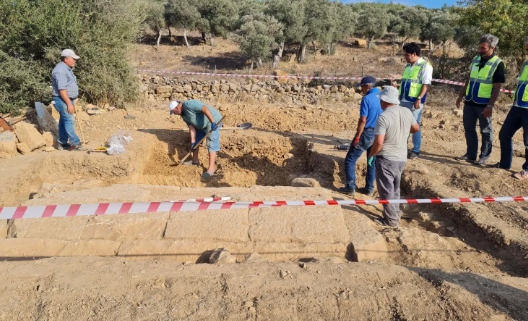 Foto - Yer: Muğla'nın Milas ilçesi! Tarla süren çiftçiden müthiş keşif
