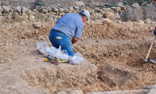 Foto - Yer: Muğla'nın Milas ilçesi! Tarla süren çiftçiden müthiş keşif