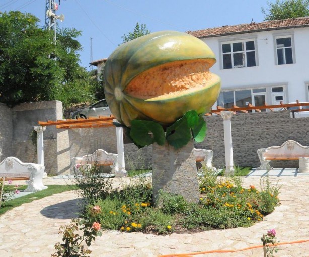 Foto - 'Yer muzu' görmüş müydünüz?